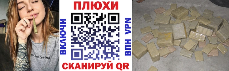 ГАШ Premium Краснозаводск