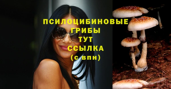 первитин Козельск