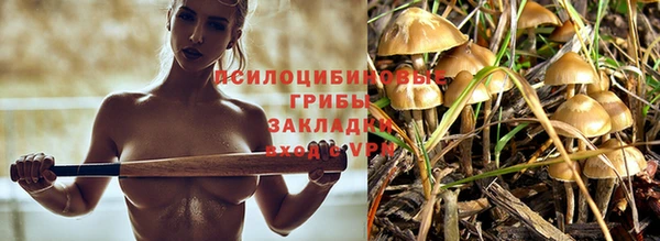 Альфа ПВП Кодинск